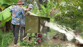 How They Chop Down Large Banana Trees To Feed Fish [upl. by Hawken]