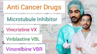 Vincristine  Vinblastine  Vinorelbine  Microtubule Inhibitor  Anticancer Drugs [upl. by Peednus102]