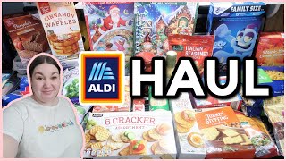 ALDI WEEKLY GROCERY HAUL  1Week Haul amp Meal Plan  NOVEMBER 2023 [upl. by Llenrag]