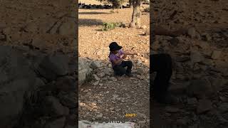 hiking with Bakhtiari nomads in the Zagros mountains iran traveltoasia nomads [upl. by Dwight]