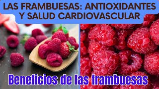 Las Frambuesas Antioxidantes y Salud Cardiovascular [upl. by Akinat578]