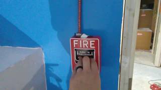 Fire alarm test [upl. by Dnomyaw]