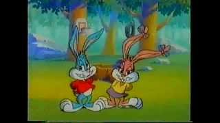 Tiny Toons Adventure  Julespesial Intro NorskNorwegian [upl. by Anisirhc681]