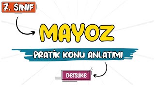 MİTOZ BÖLÜNME VE MAYOZ BÖLÜNME FULL TEKRAR TYT 2025 [upl. by Reyna]