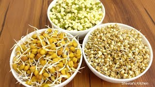 आसानी से मूंगचने और मटकी को कैसे घर पे अंकुरित करे 2 Ways How to Sprouts Beans [upl. by Wildee563]