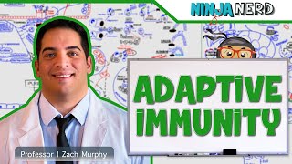 Immunology  Adaptive Immunity [upl. by Eamaj]