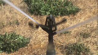 Rain Bird 40B Impact Sprinkler [upl. by Nnayd]