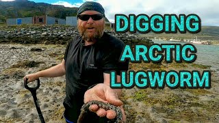 How to dig lugworm in Norway  or anywhere else [upl. by Walker]