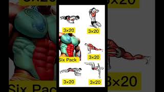 No Equipment Chest Triceps amp Abs  Perfect full body workouts abs chest MusclelegsArms [upl. by Ahsayn668]