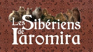 Les Sibériens de Iaromira [upl. by Nofets]