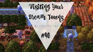 Visiting Your Dream Towns  40  Animal Crossing New Leaf  Welcome amiibo [upl. by Landon39]