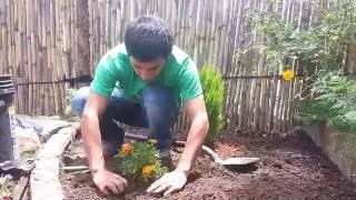 Diseño de Jardines Pequeños  Parte III  Ideas y Consejos [upl. by Inait]