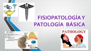 FISIOPATOLOGÍA Y PATOLOGÍA BÁSICA  NEUMOTÓRAX [upl. by Eineeuq]