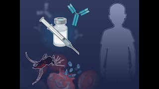 Monoclonal Antibody to Prevent Malaria  NEJM [upl. by Mordy510]