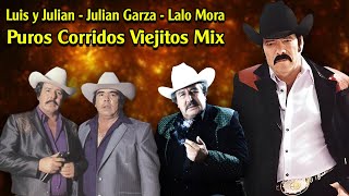 LUIS Y JULIAN y LALO MORA y JULIAN GARZA  Puros Corridos Viejitos Norteños Mix [upl. by Hiram782]