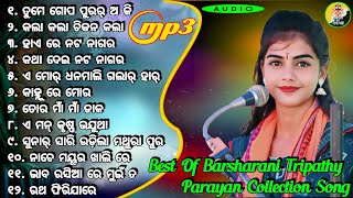 Barsharani Tripathi All Sambalpuri Bhajan  Barsha Rani Tripathy Collection Song  Top 10 Song [upl. by Anigroeg]