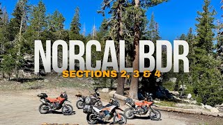 NorCal BDR Sections 234  KTM 890 Adventure’s [upl. by Eyahc]