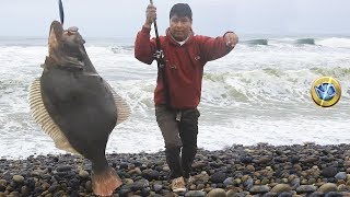 La increíble Pesca de Lenguados en la Playa de Piedras del Pacífico [upl. by Eiralc]