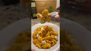 Delicious tomato and basil pasta Recipe on my TikTok and insta cooking pasta tomato [upl. by Yenhoj]