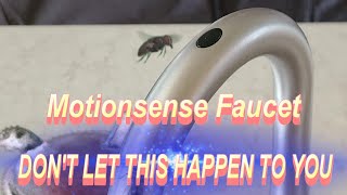 415 Moen Motionsense Kitchen Faucet  WARNING [upl. by Sredna]