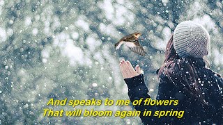 Snowbird 1969  ANNE MURRAY  Lyrics [upl. by Tteve]