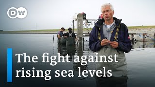 Climate change in the Netherlands  Pioneering coastal management  DW Documentary [upl. by Anoirb]