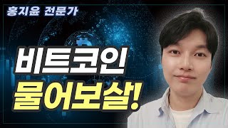 알트코인 이제 끝인가요  홍지윤 전문가  비트코인 정규방송 [upl. by Eita]