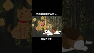 麻酔なしで帝王切開‼動物虐待事件shorts 事件実話 voicebox 事件解説1分でわかる [upl. by Giddings963]