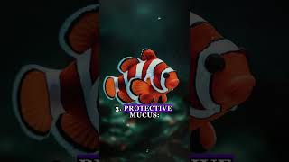 🐠 Top 5 Weirdest Clownfish Facts 🎣🐠 shorts clownfish facts [upl. by Ilise541]