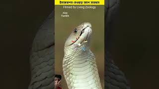 ইঞ্জেকশান নেওয়ার আগে সাবধান।এই ভিডিও টি অবশ্যই দেখুন। injection bangla facts shorts bangla [upl. by Abla]