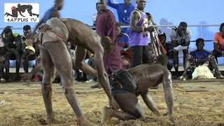 ibou Senghor vs ndiol jeant [upl. by Rawden]