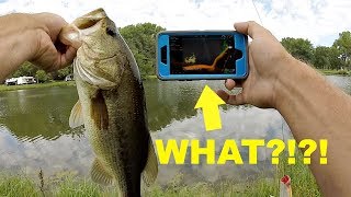 How to Turn Your Phone into a FISH FINDER for Bank Fishing [upl. by Nikolaus]