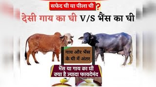 Cow Ghee Vs Buffalo Ghee [upl. by Hedda362]