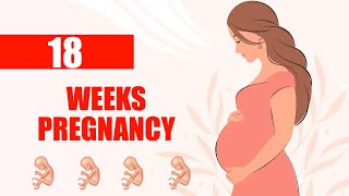 18 Weeks Pregnant Symptoms  Baby Moving and Baby Size in Womb [upl. by Airoled]