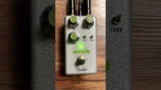 エフェクターペダル「HAMMERTONE™️ PEDALS」 REVERB shorts [upl. by Hallett]