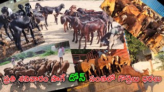 ప్రోమో  డోన్ సంతలో గొర్రెలు మేకల రేట్లు  Sheep amp Goat Market in Dhone  dhonemedia [upl. by Warren]