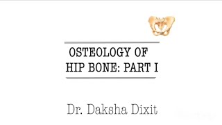 OSTEOLOGY OF HIP BONE PART 1 [upl. by Minor]