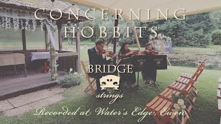 Bridge Strings  Concerning Hobbits  Lord of the Rings  recorded at Water’s Edge  Wedding music [upl. by Nnyltiac587]