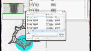 Setting VOIs for rodent vertebral body lumbar trabecular and cortical bone [upl. by Dore]