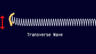 Longitudinal and Transverse Waves [upl. by Skyla]