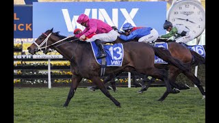 Randwick  2024 7 Sport Stakes Day Preview FANGIRL TO REIGN SUPREME [upl. by Mathre]