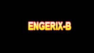 What Is The Definition Of ENGERIX B  Medical Dictionary Free Online [upl. by Goldston]