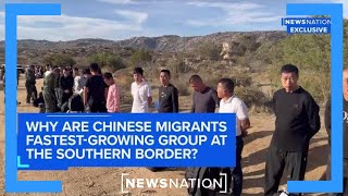 Why are Chinese migrants fastestgrowing group at southern border  NewsNation [upl. by Kenimod]