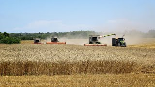 Palotabozsoki Zrt 3x Claas Trion 660 Lexion 760TT 670 Summer Harvest 2023 [upl. by Keeryt507]