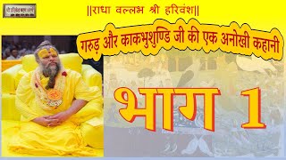 काकभुशुण्डि जी और गरुड़ जी की संपूर्ण कहानी  Shri Hit Premanand Ji Maharaj [upl. by Giralda]