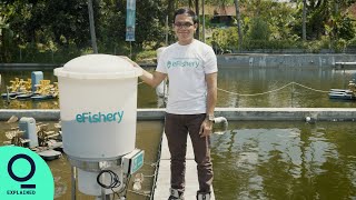 How a Passion for Fish Farming Became a Booming Business [upl. by Alegnatal499]