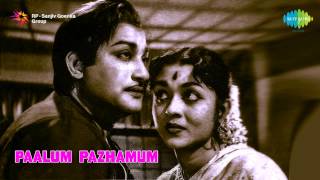 Paalum Pazhamum  Ponaal Pogattum song [upl. by Hilly352]