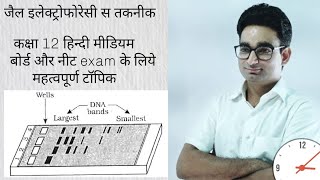 Gel electrophoresis technique separate of bio molecules by RK Sir [upl. by Ebbie]