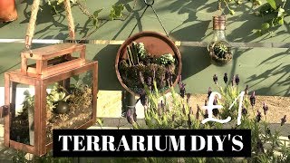 TERRARIUM DIY IDEAS FOR SUCCULENTS amp CACTI  POUNDLAND DIY [upl. by Oirottiv326]