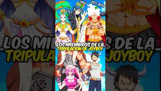 ¡Los miembros de la tripulación del Joy Boy en One Piece 🤔😱 onepiece anime luffynika joyboy [upl. by Tsiuqram]